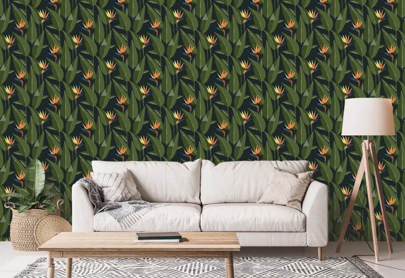 Birds of Paradise Black Wallpaper