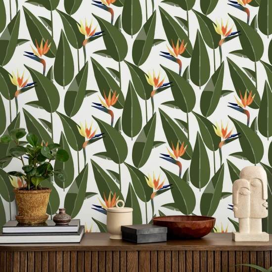 Aves do Paraíso Papel de parede branco