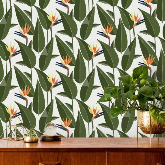 Oiseaux de paradis Papier peint blanc