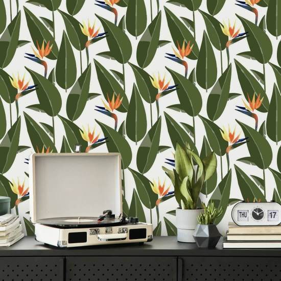 Paradijsvogels Wit behang