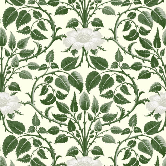Wijnstok in de tuin Ivy Green botanisch behang