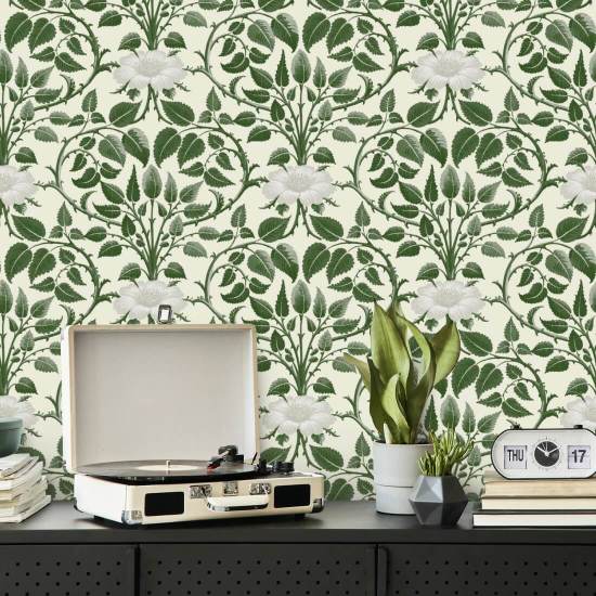 Videira de jardim Papel de parede botânico Ivy Green