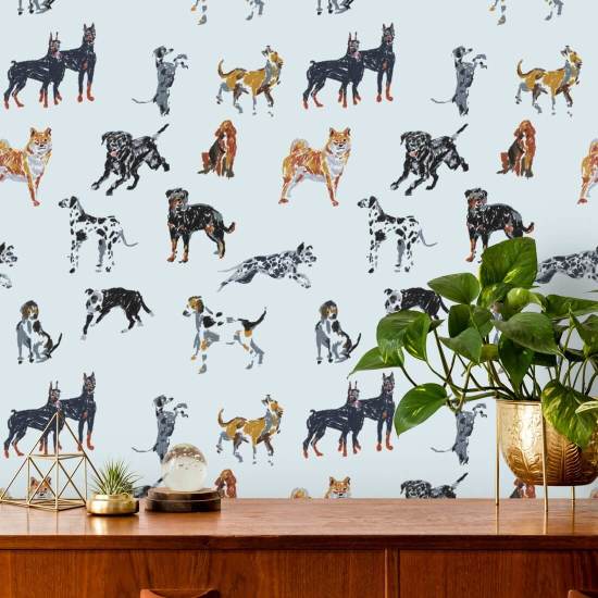 Días del perro Fondo de pantalla azul pálido