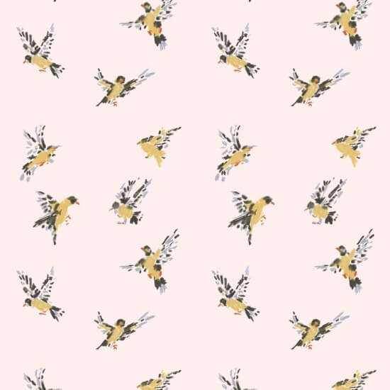Flight of the Finches Sunbleached Pink Wallpaper