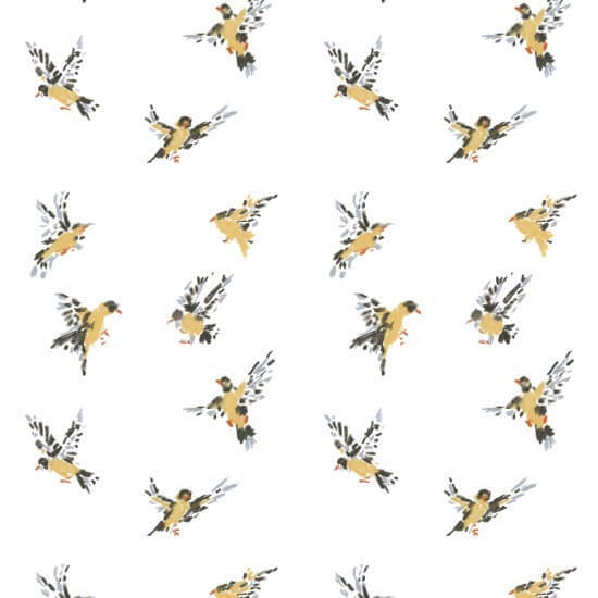 Flight of the Finches Sketchpad White Wallpaper