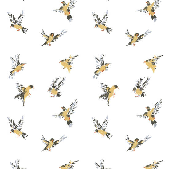Voo dos tentilhões Papel de parede branco do Sketchpad