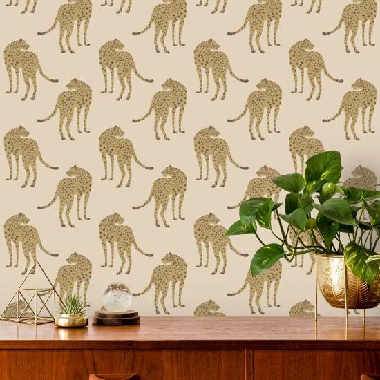 Prowling Cheetah Desert Sand Wallpaper