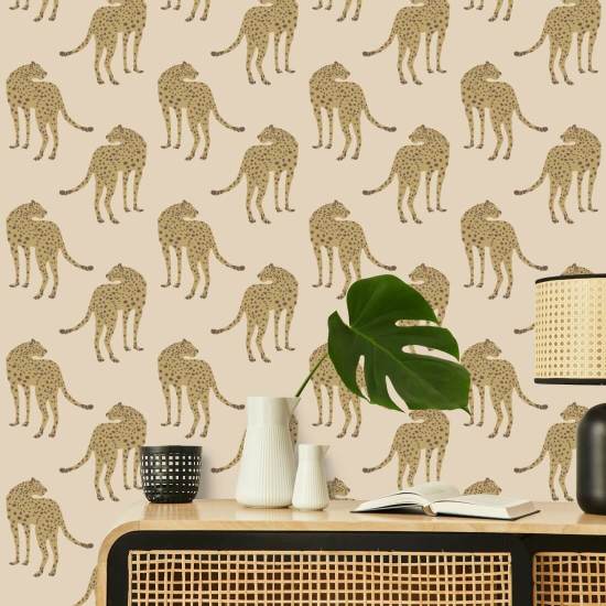 Vandrende gepard Desert Sand Baggrund