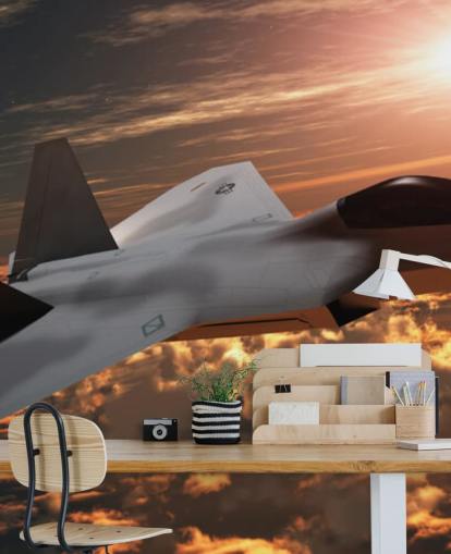 customizable aircraft wallpaper mural called F-22 Fighter Jet