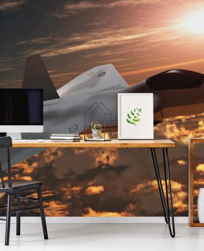 customisable aircraft wallpaper mural called F-22 Fighter Jet