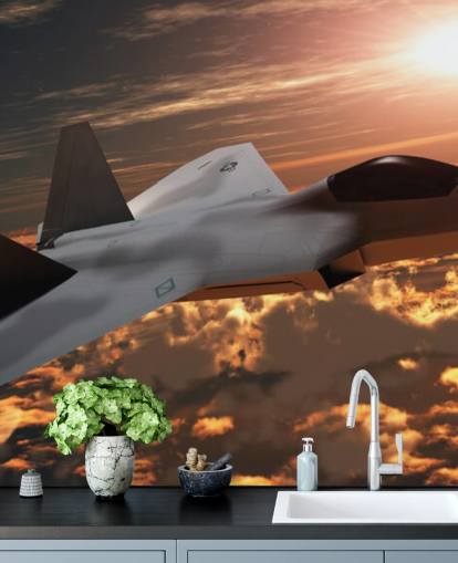 customisable aircraft wallpaper mural called F-22 Fighter Jet