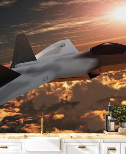 customizable aircraft wallpaper mural called F-22 Fighter Jet