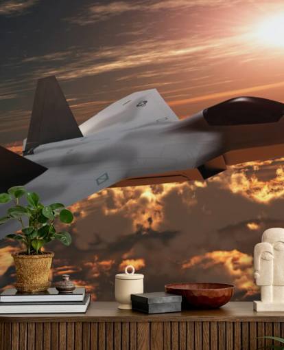 customizable aircraft wallpaper mural called F-22 Fighter Jet