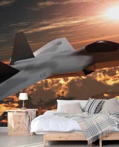 customizable aircraft wallpaper mural called F-22 Fighter Jet