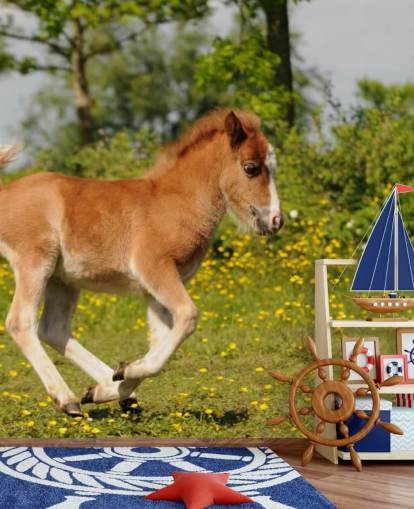 Fondo de pantalla de Pony Foal