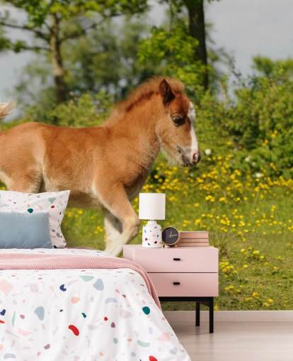 Pony Foal Wallpaper Pony Foal Wallpaper