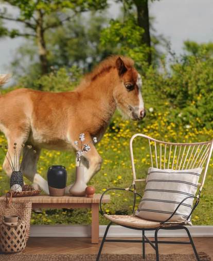 Papier peint Pony Foal
