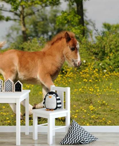 Papel de parede Pony Foal Papel de parede Pony Foal