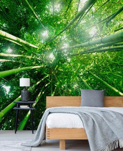 Bambu jättar Bakgrund väggmålning Bambu jättar Bakgrund väggmålning