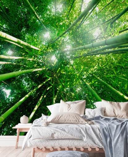 Bamboo Giants Wallpaper Mural Bamboo Giants Wallpaper Mural