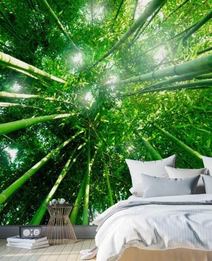 Bamboo Giants Wallpaper Mural