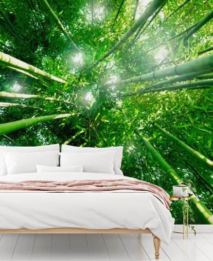 Bamboo Giants Wallpaper Mural