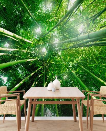Papel de parede Bamboo Giants