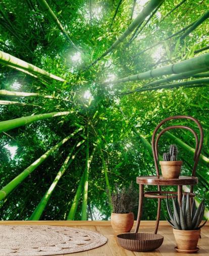 Bamboo Giants Taustakuva Seinämaalaus Bamboo Giants Taustakuva Seinämaalaus