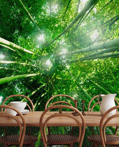 Bamboo Giants Wallpaper Mural