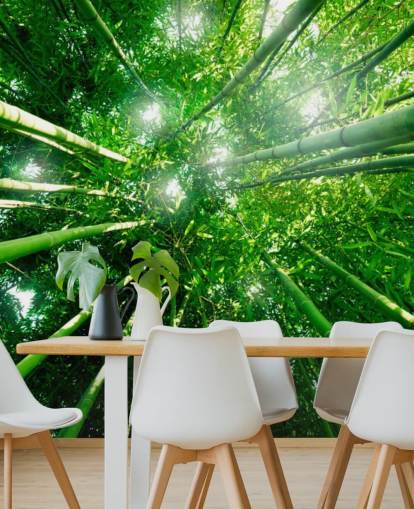 Bamboo Giants Wallpaper Mural