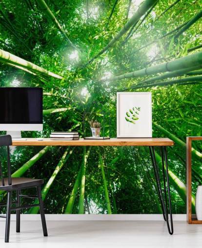 Papel pintado Gigantes de bambú
