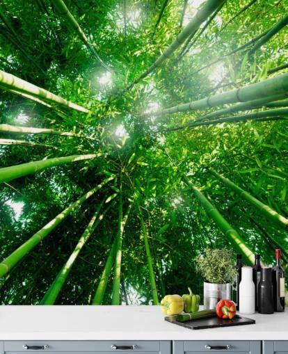 Bamboo Giants Wallpaper Mural Bamboo Giants Wallpaper Mural