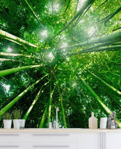 Bamboo Giants Taustakuva Seinämaalaus Bamboo Giants Taustakuva Seinämaalaus