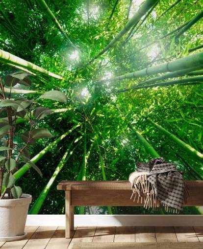 Bamboo Giants Wallpaper Mural