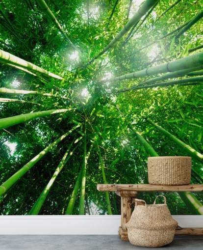 Bamboo Giants Wallpaper Mural