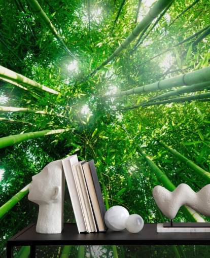 Bamboo Giants Wallpaper Mural