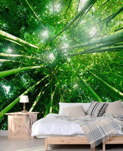 Decorazione murale con giganti di bambù Decorazione murale con giganti di bambù