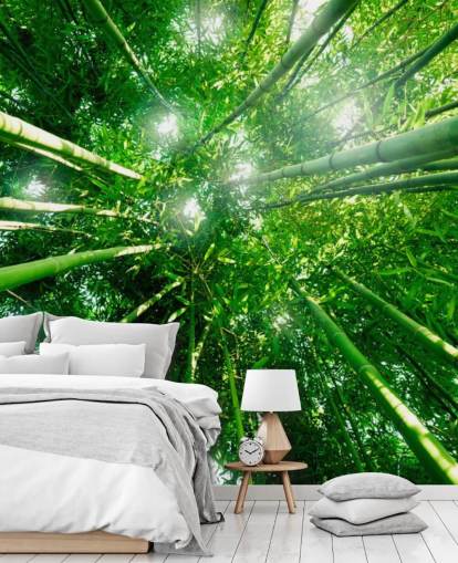 Papel de parede Bamboo Giants