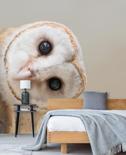 Owl Portrait Wallpaper