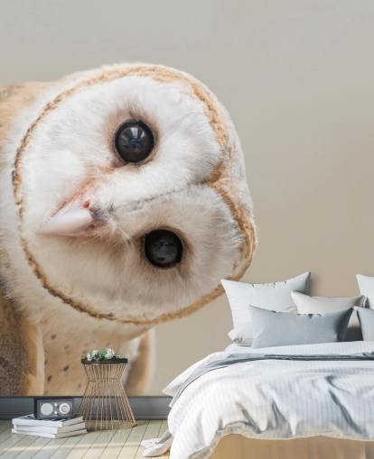 Owl Portrait Wallpaper Owl Portrait Wallpaper