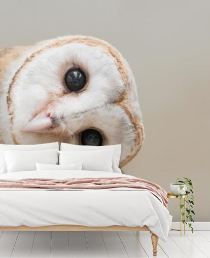 Owl Portrait Behang