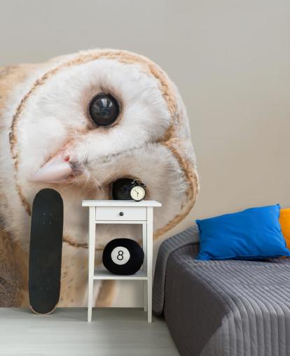 Owl Portrait Wallpaper