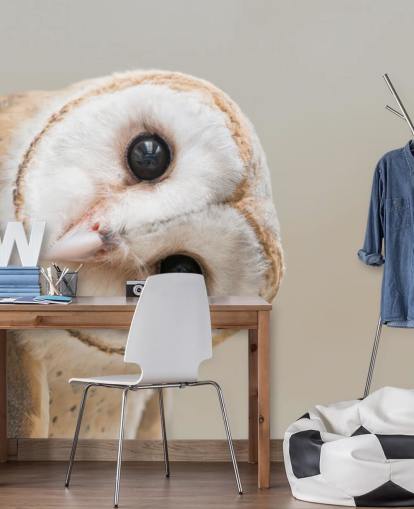 Owl Portrait Wallpaper