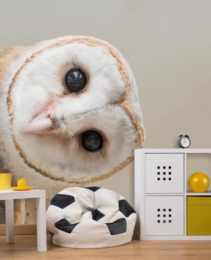 Owl Portrait Behang