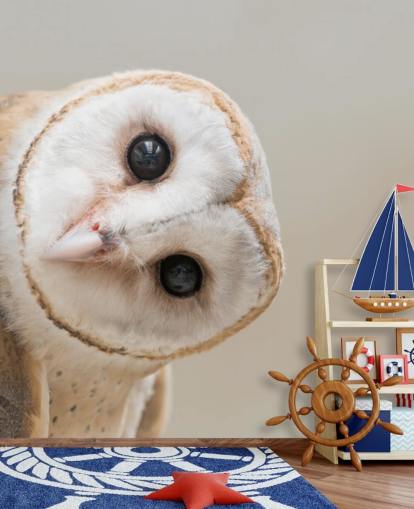 Owl Portrait Wallpaper