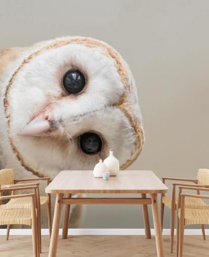 Papier peint portrait hibou Papier peint portrait hibou