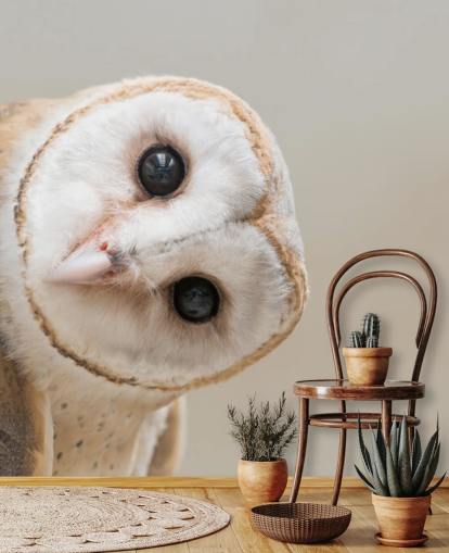 Owl Portrait Wallpaper
