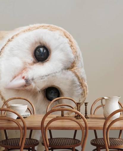 Owl Portrait Wallpaper