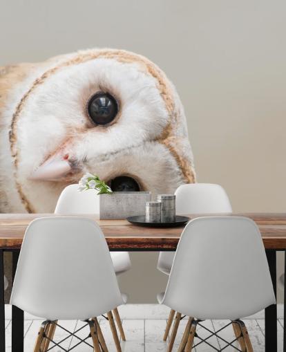 Papier peint portrait hibou Papier peint portrait hibou