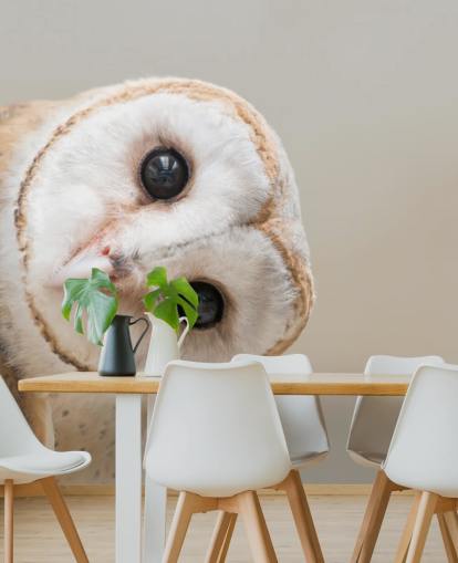 Owl Portrait Behang Owl Portrait Behang